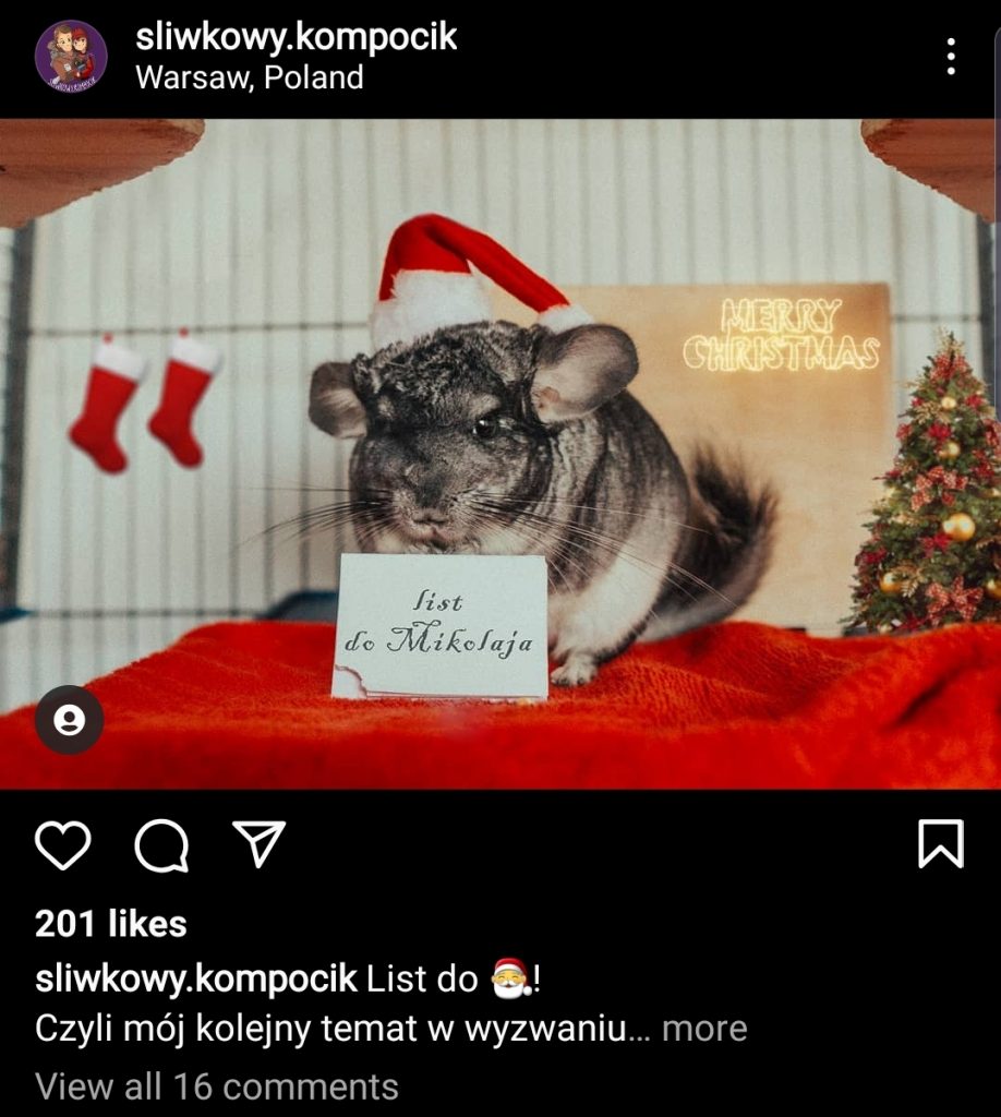 A furry Xmas messenger @sliwkowy.kompocik